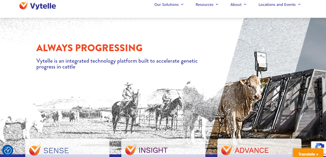 Reshaping Cattle Production: Precision Livestock Company Vytelle Raises $20M in Series B Funding