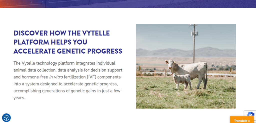 Discover more about the Platform of Vytelle