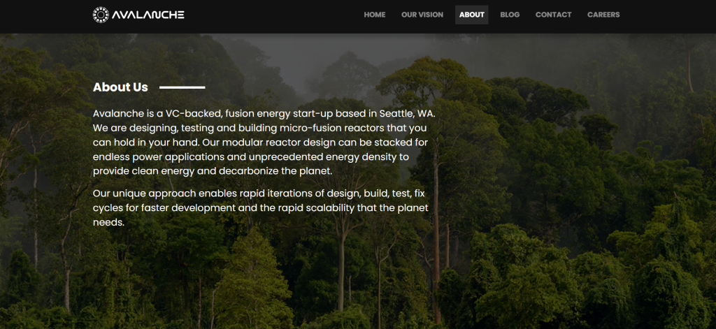 About us page of Avalanche Energy
