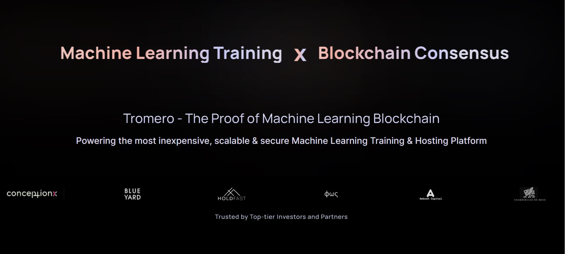 Tromero Ltd: Pioneering AI Blockchain Revolution, backed by $1.9M seed funding