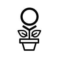 Palumni VC