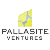Pallasite Ventures Inc.