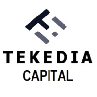 Tekedia Capital